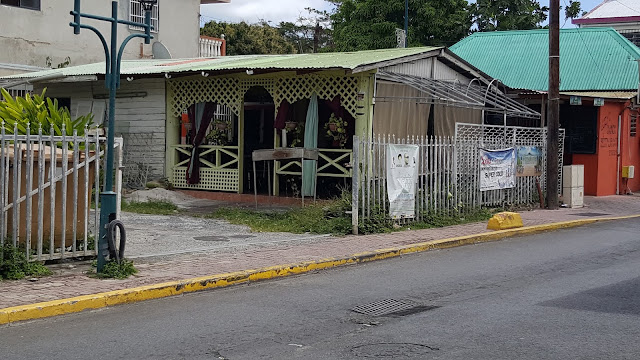 Fotografia de la travessia de 2017 · Un banyador poc discret · 7