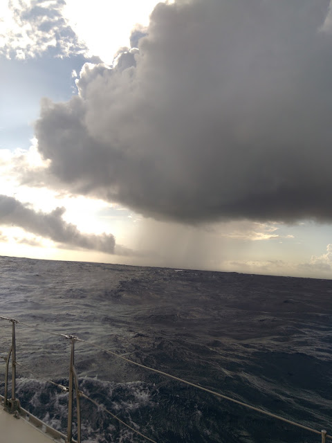 Fotografia de la travessia de 2017 · Aprendre a viure a l’oceà · 22