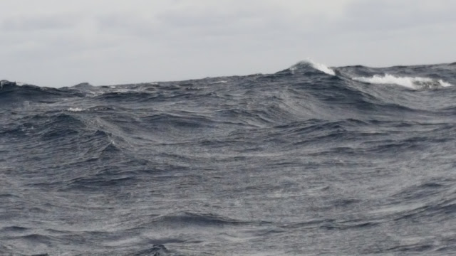 Fotografia de la travessia de 2017 · Cap a les Açores · 31