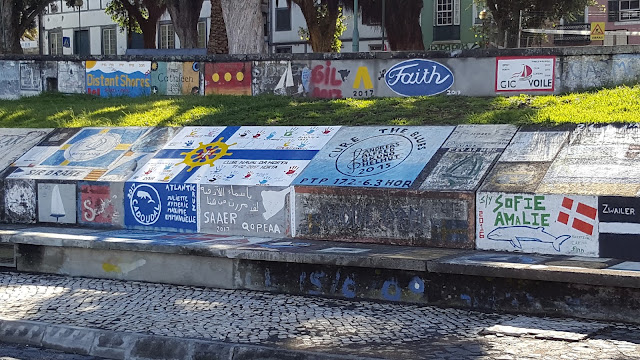 Fotografia de la travessia de 2017 · Terra a la vista · 36